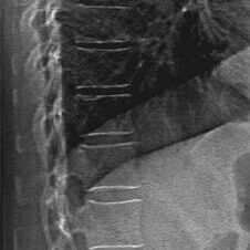 Horizon6-3-3-226x585